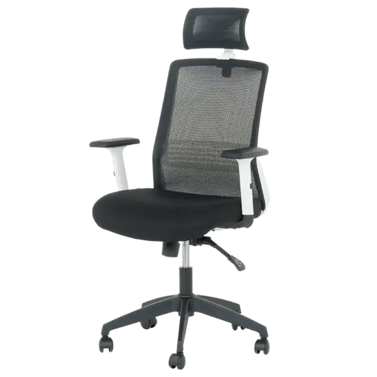 Директорски стол АНУШ-снимка отпред, Петлъчева основа от полипропилен