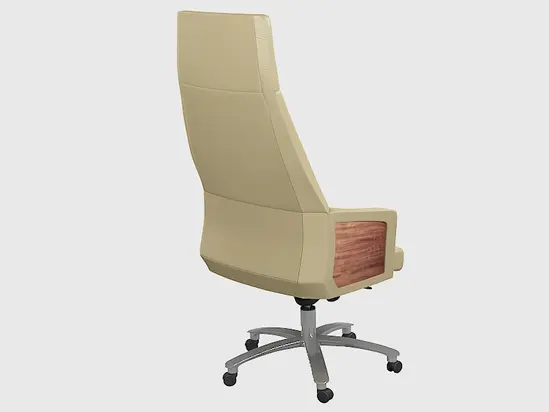 Директорски стол КАЙМАКЧАЛАН LND 20-сниман отзад