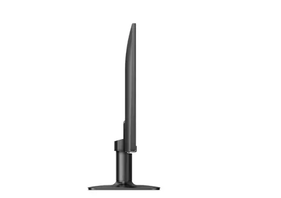 Монитор Philips 24E2N1100LB, 23.8' VA WLED, 1920x1080@100Hz, 4ms GtG, 1ms MPRT, 250cd m2, 4000:1, Mega Infinity DCR, Adaptive Sync, FlickerFree, LowBlue Mode, Tilt, D-SUB, HDMI