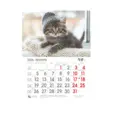 Стенен календар 8 листа Котенца - януари