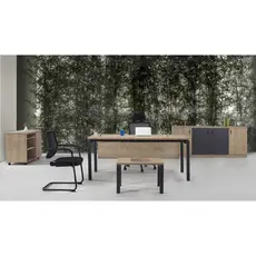 Директорски кабинет MOTTO CS01