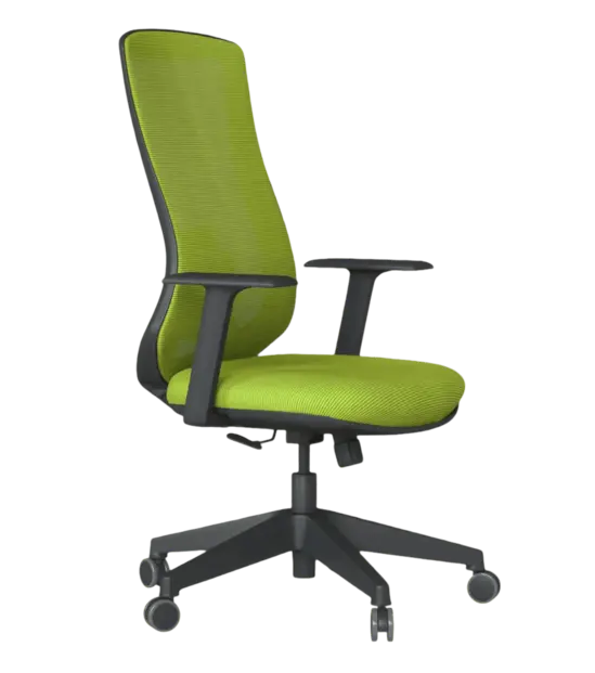 Работен стол БУЛАИР PON 0231 - зелен