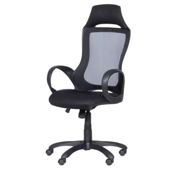 Директорски стол ДЕНИС-сниман отстрани, фиксирани полипропиленови подлакътници