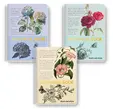 Тетрадка спирала А5 Botanical Book 80 л