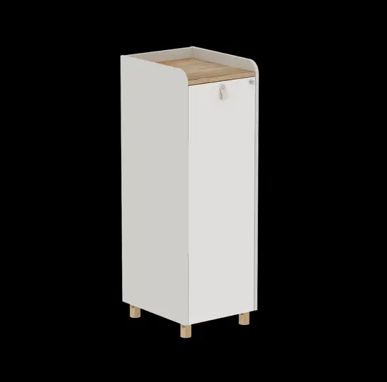 Шкаф DLB02 42х50х125