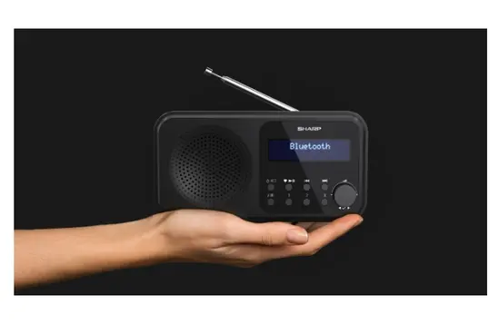 Радио Sharp Radios DR-P420(BK), PORTABLE DIGITAL RADIO, Bluetooth 5.0, 20 DAB+DABFM, Auto timedate, LCD Display, Dual alarm,Micro USB x1 (power supply),3.5mm Headphone jack  line-out, Black
