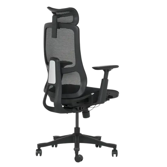 Работен стол АХИНОРА-сниман отзад