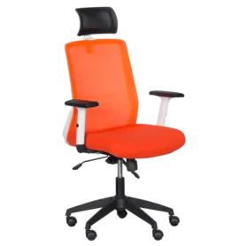 Директорски стол АНУШ-сниман отпред, ергономичен