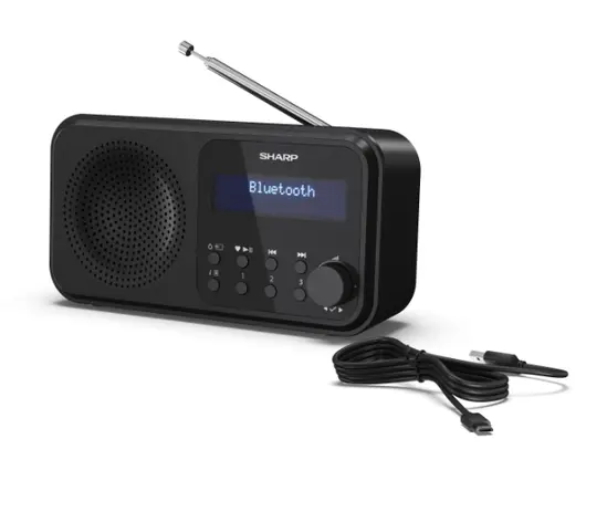 Радио Sharp Radios DR-P420(BK), PORTABLE DIGITAL RADIO, Bluetooth 5.0, 20 DAB+DABFM, Auto timedate, LCD Display, Dual alarm,Micro USB x1 (power supply),3.5mm Headphone jack  line-out, Black