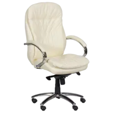 Президентски стол СТРУМЯНИ-снимка отпред