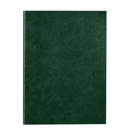 Тефтер скрита спирала ДАКОТА-зелен цвят