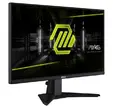 Монитор MSI MAG 255XF, 24.5", 0.5ms, 300Hz, Rapid IPS, 1920x1080 (FHD), 16:9, AMD FreeSync Premium, 90% DCI-P3, AG, HDR Ready, 250 nits, 1000:1, DCR 100M:1, DP(1.4a), 2xHDMI 2.0b, Tilt, VESA, Black, 3.3kg