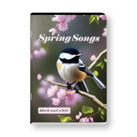 Тетрадка B&W редове А5 офсет 80 л