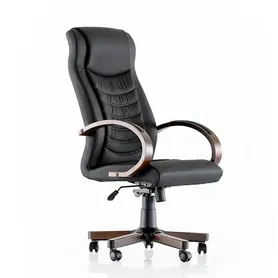 Президентски стол СРЕДЕЦ CSA N- сниман отпред