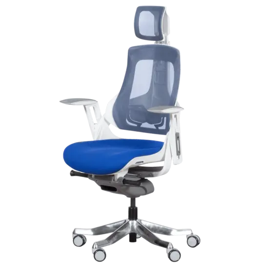 Директорски стол АЛЕКО-сниман отстрани, регулируем