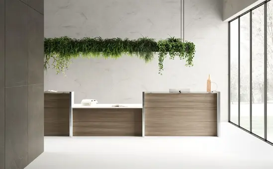 Рецепция NICE