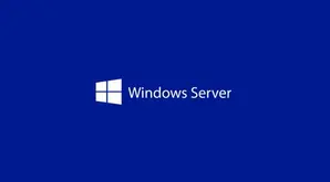 Програмен продукт с лицензен стикер Windows Server CAL 2025 English 1pk DSP OEI 1 Clt User CAL