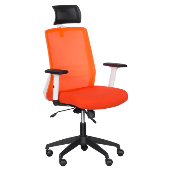 Директорски стол АНУШ-сниман отпред, ергономичен