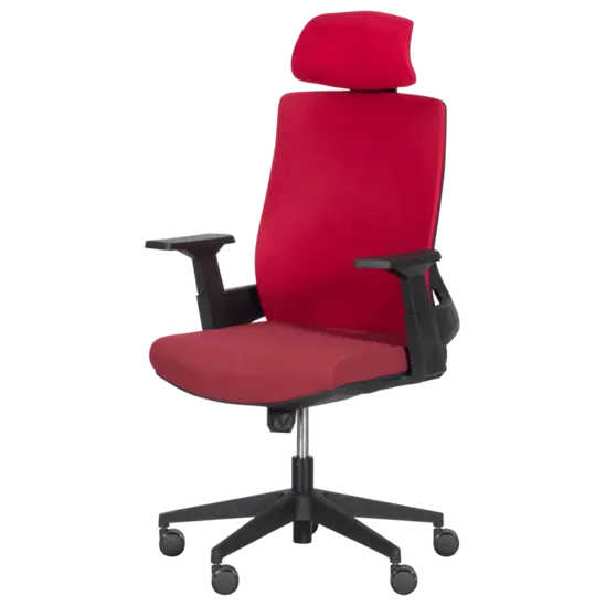 Директорски стол АЛИНА- снимка отстрани, два цвята