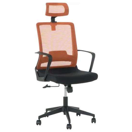 Президентски стол АНТОН 62- в два цвята, лумбална опора