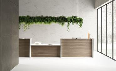 Рецепция NICE