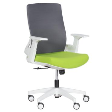 Работен стол Миглена 47- зелен със сиво