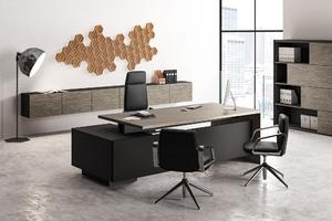 Директорски кабинет ELITE