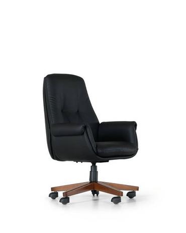 Директорски стол БАРС SLD 10N