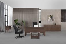 Мениджърски кабинет ELECTRA