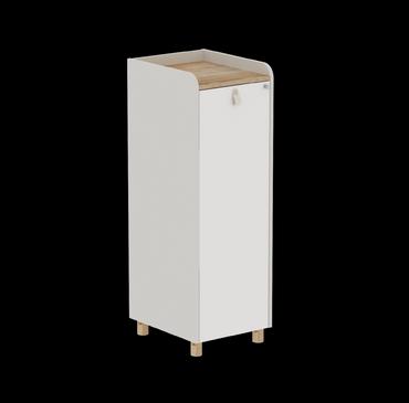 Шкаф DLB02 42х50х125