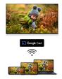 Телевизор Thomson 50' QLED Google TV; 3840 x 2160 (4K UHD), 4000:1, QLED, 60 Hz, DVB-T/T2/C/S/S2, HDR10, Wi-Fi, Bluetooth, LAN, HDMI 2 (2.0) + 2 (2.1), USB 2 (2.0) + 1 (3.0), Hotel mode, Central Swivel Stand, Dark gray
