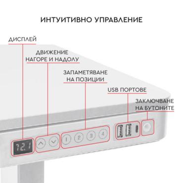 Бюро регулируемо КУКУШ B11