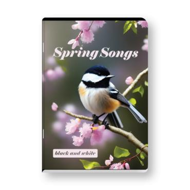 Тетрадка B&W редове А5 офсет 80 л