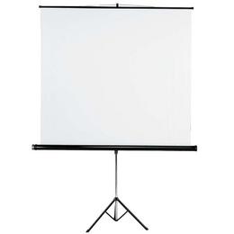 Екран на стойка 180х180 см
