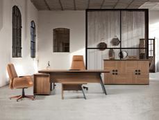 Директорски кабинет MUSTANG