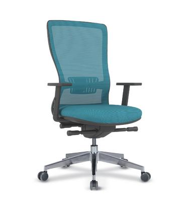 Работен стол КЪРКЛАРЕЛИ ARY27