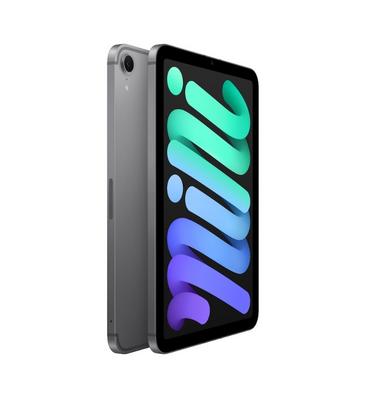 Таблет Apple iPad mini (A17 Pro) Cellular 256GB - Space Grey