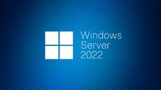 Програмен продукт с лицензен стикер Windows Server CAL 2022 English 1pk DSP OEI 1 Clt Device CAL