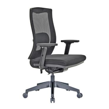 Директорски стол ДРАЧ RX 20