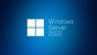 Програмен продукт с лицензен стикер Windows Server CAL 2022 English 1pk DSP OEI 1 Clt User CAL