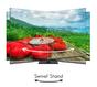 Телевизор Thomson 55' QLED Google TV; 3840 x 2160 (4K UHD), 4000:1, QLED, 60 Hz, DVB-T/T2/C/S/S2, HDR10, Wi-Fi, Bluetooth, LAN, HDMI 2 (2.0) + 2 (2.1), USB 2 (2.0) + 1 (3.0),Central Swivel Stand, Dark gray
