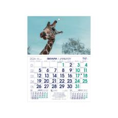 Работен календар РКМ Аванти - синьо и зелено