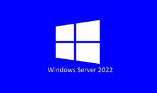 Софтуер Lenovo Windows Server 2022 Remote Desktop Services CAL (10 User)