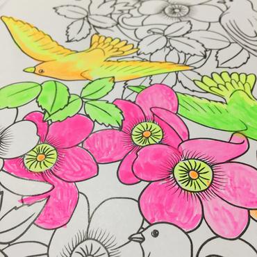 Бои акварелни PRIMO, 12 цвята - 8 металик и 4 флуо