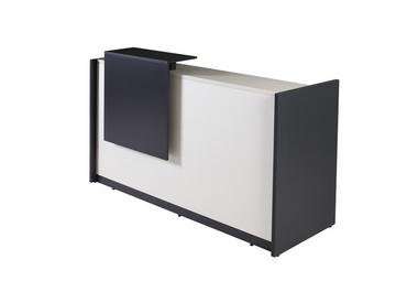 Рецепция GM 1100