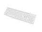 Клавиатура Natec Keyboard Nautilus US Layout White