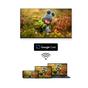 Телевизор Thomson Smart QLED Pro TV 65'; Google TV; 3840 x 2160 (4K UHD), DLED, 144 Hz, DVB-T/T2/C/S/S2, HDR10, Wi-Fi, Bluetooth, LAN, HDMI 4 (2.1), USB 2 (2.0) + 1 (3.0), Central Swivel Stand, Black