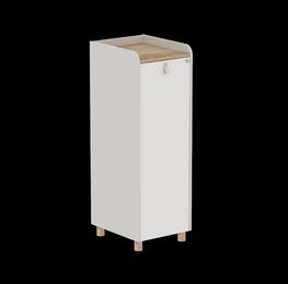 Шкаф DLB02 42х50х125