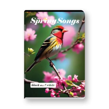 Тетрадка B&W редове А5 офсет 80 л