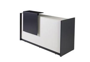 Рецепция GM 1100